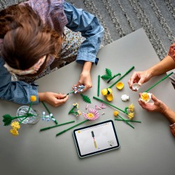 LEGO Botanical 10347 Bouquet di fiori estivi