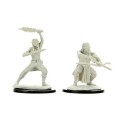 Wizkids - D&D Nolzur's Mum Shifter M. Wildhunt Ranger