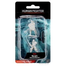 Wizkids - D&D Nolzur's Mum Male Human Fighter