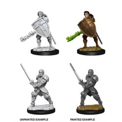 Wizkids - D&D Nolzur's Mum Male Human Fighter