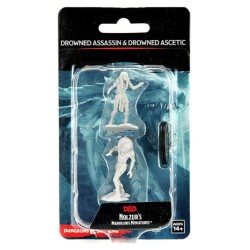 Wizkids - D&D Nolzur's Mum Drowned Assassin & Ascetic