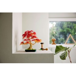 LEGO Botanicals 10348 Bonsai di acero rosso giapponese