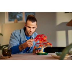 LEGO Botanicals 10348 Bonsai di acero rosso giapponese