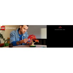 LEGO Botanicals 10348 Bonsai di acero rosso giapponese