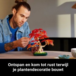 LEGO Botanicals 10348 Bonsai di acero rosso giapponese