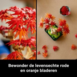 LEGO Botanicals 10348 Bonsai di acero rosso giapponese