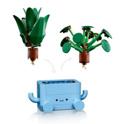 Plantas Felices