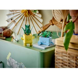 Petites plantes souriantes