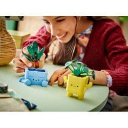 Petites plantes souriantes
