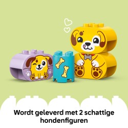 Trieur de formes : la niche du chiot