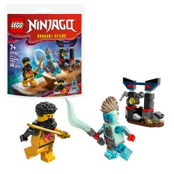LEGO Ninjago 30700 Polybag Battaglia di Arin vs. Dragoniano