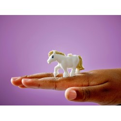 Pony Ranch & Stable