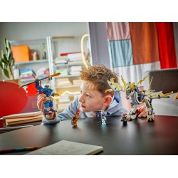 Le robot dragonnier de Rogue