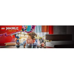 LEGO Ninjago 71843 Mech cavalca-drago di Rogue