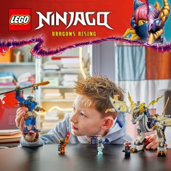 LEGO Ninjago 71843 Mech cavalca-drago di Rogue