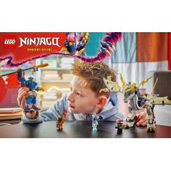 Le robot dragonnier de Rogue