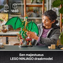 LEGO Ninjago 71847 Drago-guardiano