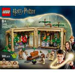 LEGO Harry Potter 76445 Castello di Hogwarts: lezione di erbologia
