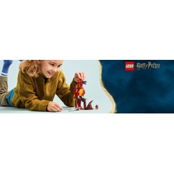 LEGO Harry Potter 76448 Fanny: la Fenice di Albus Silente