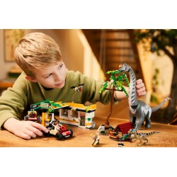 Raptor & Titanosaurus: Große Fährtensuche