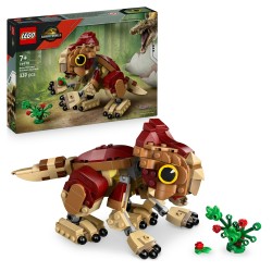 Babydinosaurier Dolores: Aquilops
