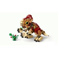 Babydinosaurier Dolores: Aquilops