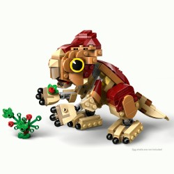 Babydinosaurier Dolores: Aquilops