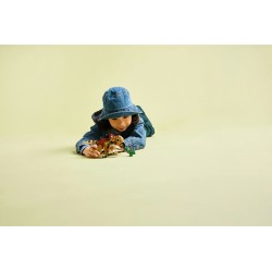 Babydinosaurier Dolores: Aquilops
