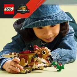 Babydinosaurier Dolores: Aquilops