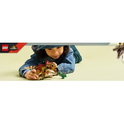 Babydinosaurier Dolores: Aquilops