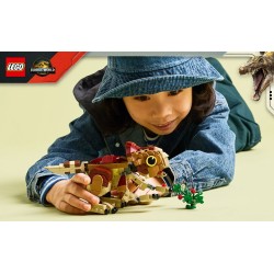 Babydinosaurier Dolores: Aquilops