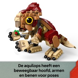 Babydinosaurier Dolores: Aquilops