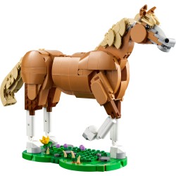 Le beau cheval