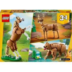Le beau cheval