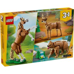 Le beau cheval