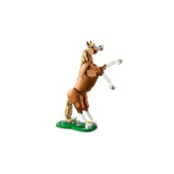Le beau cheval