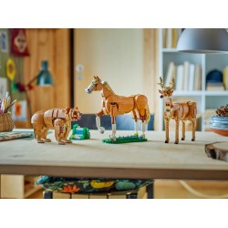 Le beau cheval