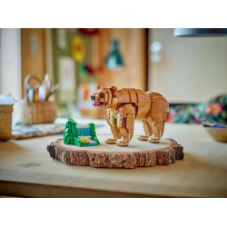 Le beau cheval