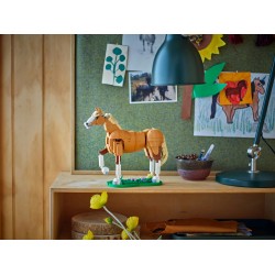 Le beau cheval
