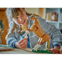 Le beau cheval