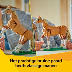 Le beau cheval