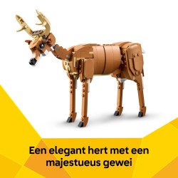 Le beau cheval