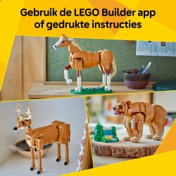 Le beau cheval
