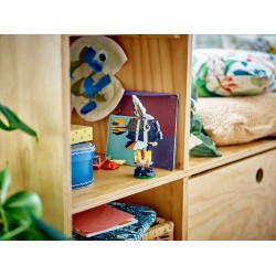 Animaux sauvages : le toucan tropical