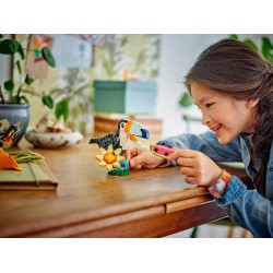 Animaux sauvages : le toucan tropical