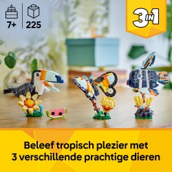 Animaux sauvages : le toucan tropical
