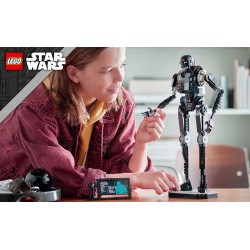 Sicherheitsdroide K-2SO™