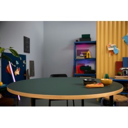 Chef de l'équipe Mécha