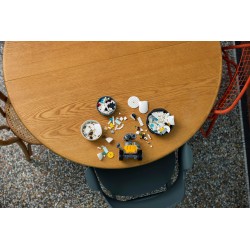 WALL-E und EVE