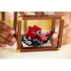 Colección de Minerales